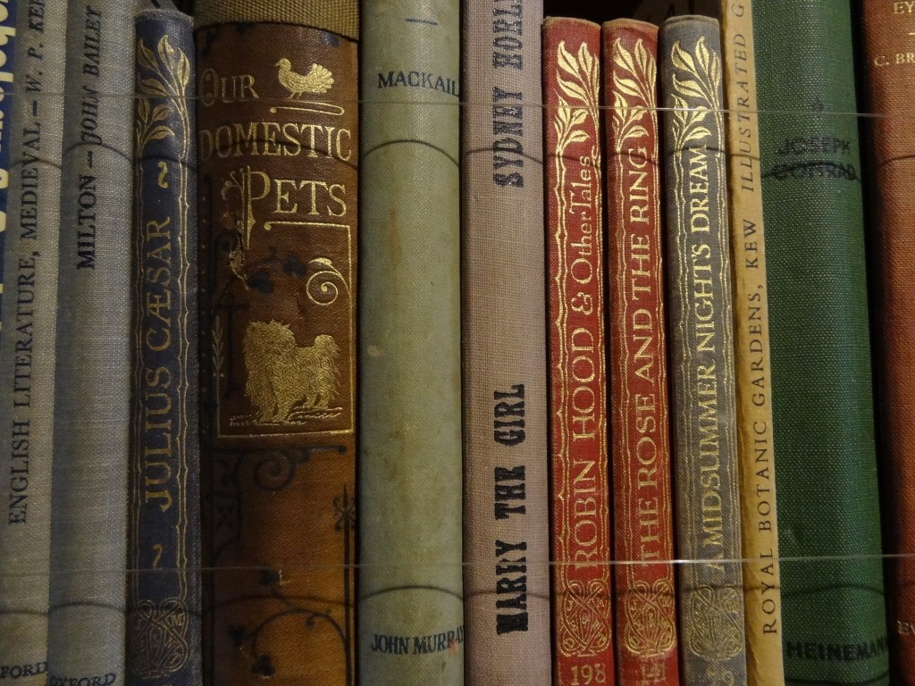 You'll find many vintage books and rare gems in the city of Seattle. 